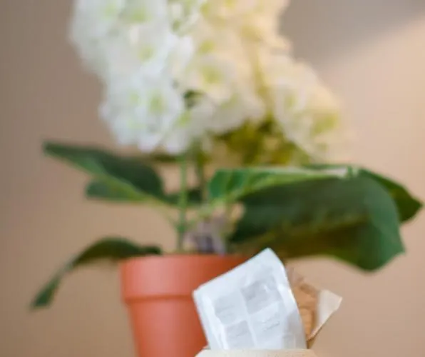 Casa Del Sole 3* Matera